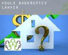 Voulx  bankruptcy lawyer