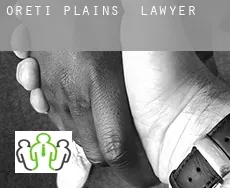 Oreti Plains lawyer