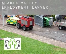 Acadia Valley  employment lawyer