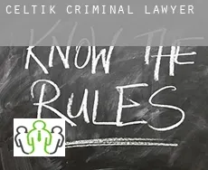 Çeltik  criminal lawyer