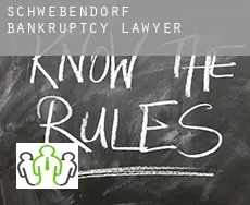 Schwebendorf  bankruptcy lawyer