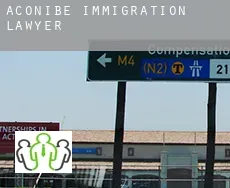 Aconibe  immigration lawyer