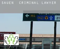 Sauen  criminal lawyer