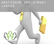 Gemeente Amsterdam  employment lawyer