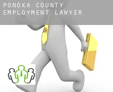 Ponoka County  employment lawyer