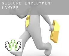 Seljord  employment lawyer