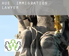 Aue  immigration lawyer