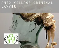 Ambo Village  criminal lawyer