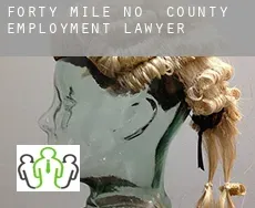 Forty Mile County  employment lawyer