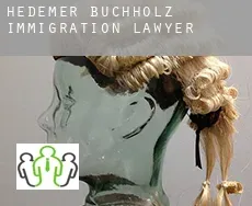 Hedemer Buchholz  immigration lawyer