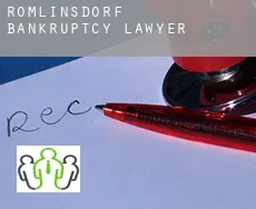 Römlinsdorf  bankruptcy lawyer