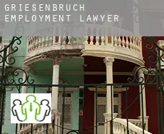 Griesenbruch  employment lawyer