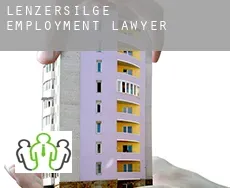 Lenzersilge  employment lawyer