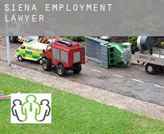 Province of Siena  employment lawyer
