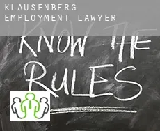 Klausenberg  employment lawyer