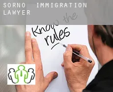 Sorno  immigration lawyer