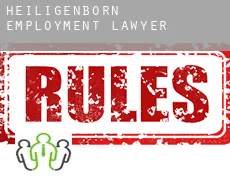 Heiligenborn  employment lawyer