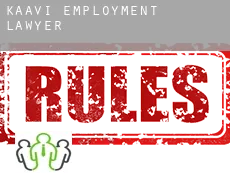 Kaavi  employment lawyer