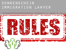 Sonnenschein  immigration lawyer