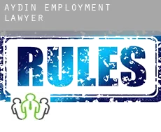 Aydın  employment lawyer