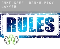 Emmelkamp  bankruptcy lawyer