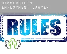 Hammerstein  employment lawyer