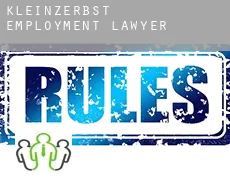 Kleinzerbst  employment lawyer