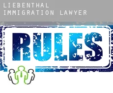 Liebenthal  immigration lawyer