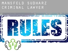 Mansfeld-Südharz  criminal lawyer