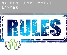 Mauken  employment lawyer