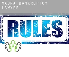 Maura  bankruptcy lawyer