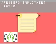 Arnsberg District  employment lawyer