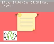 Lower Saxony  criminal lawyer