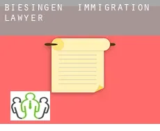 Biesingen  immigration lawyer