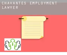 Chavantes  employment lawyer