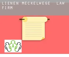 Lienen-Meckelwege  law firm