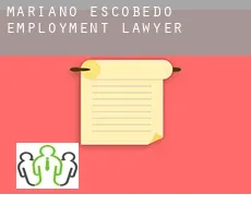 Mariano Escobedo  employment lawyer