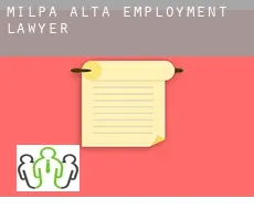 Milpa Alta  employment lawyer