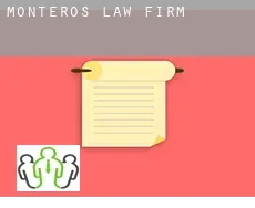 Departamento de Monteros  law firm