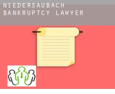 Niedersaubach  bankruptcy lawyer