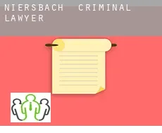 Niersbach  criminal lawyer