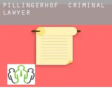 Pillingerhof  criminal lawyer