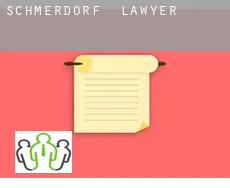 Schmerdorf  lawyer