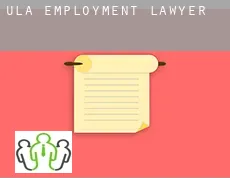 Ula  employment lawyer