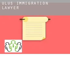 Ulus  immigration lawyer