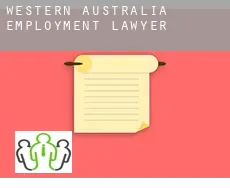 Western Australia  employment lawyer