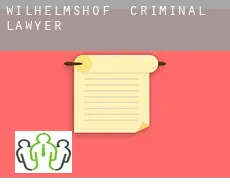 Wilhelmshof  criminal lawyer