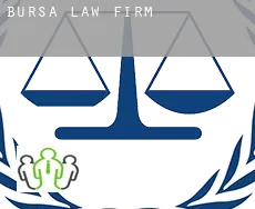 Bursa  law firm