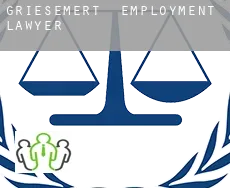 Griesemert  employment lawyer