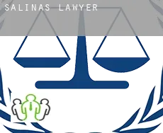 Salinas  lawyer